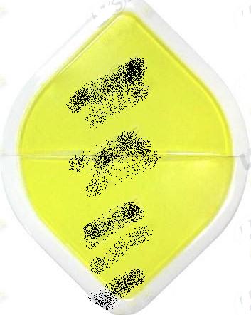 �ۇ���ˮ���|(zh��)��ˮ��ϵ�Й�������U�P