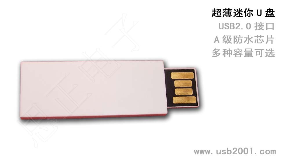 ��������U�P(p��n)-SL005